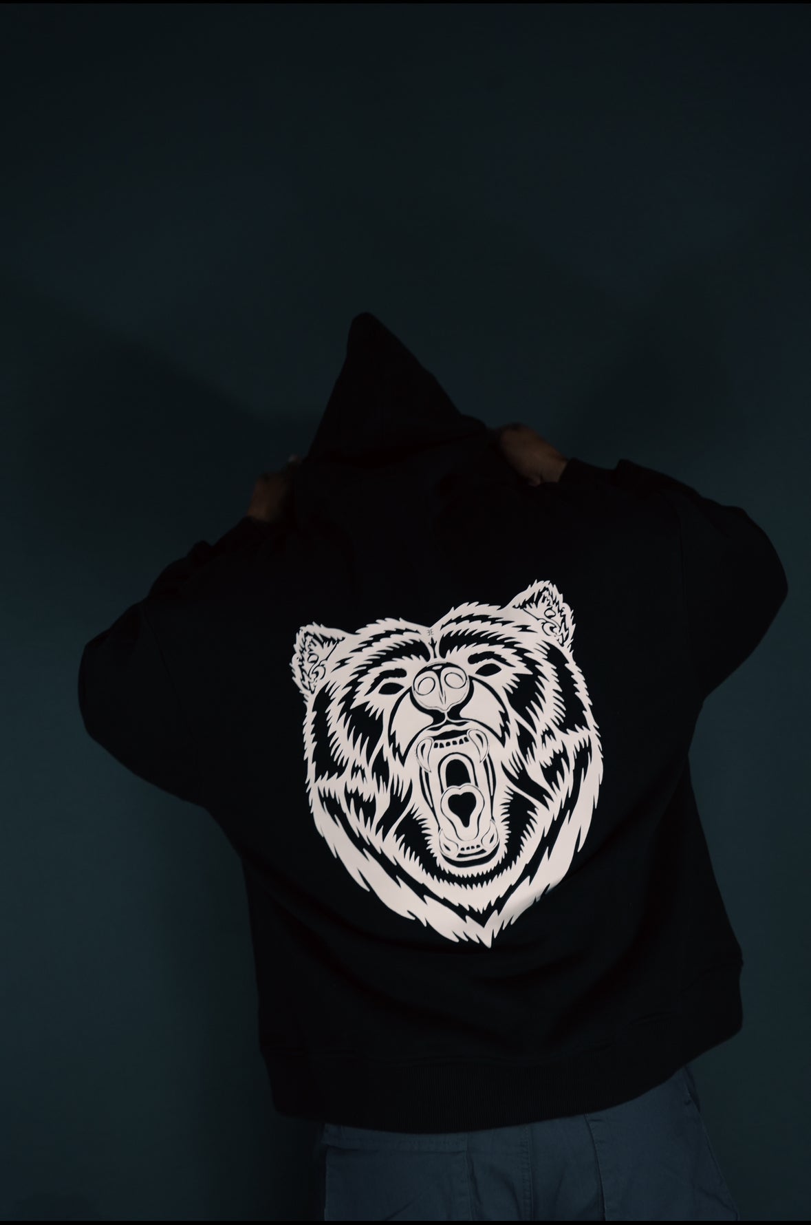 PPYL "BEARS ABOVE ALL" (BLACK)